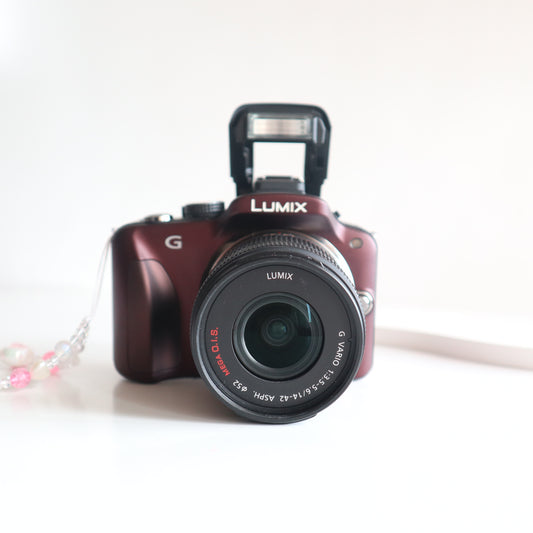 PANASONIC LUMIX G3 (Brown)