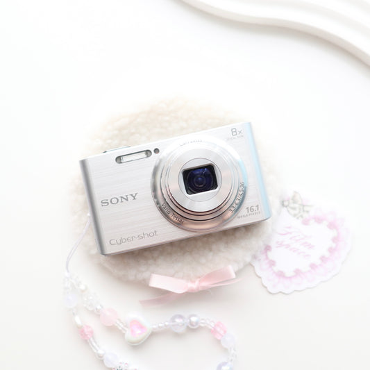 SONY CYBERSHOT W730 (SILVER)