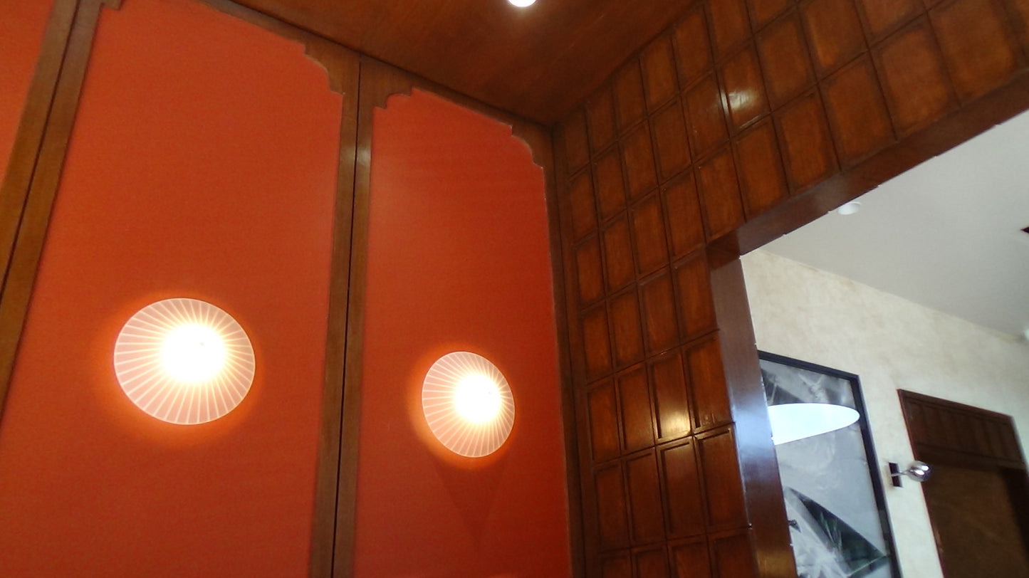 SONY HANDYCAM HDR-CX390 (BROWN)