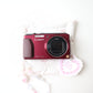 PANASONIC LUMIX DMC-TZ40 (MAROON)