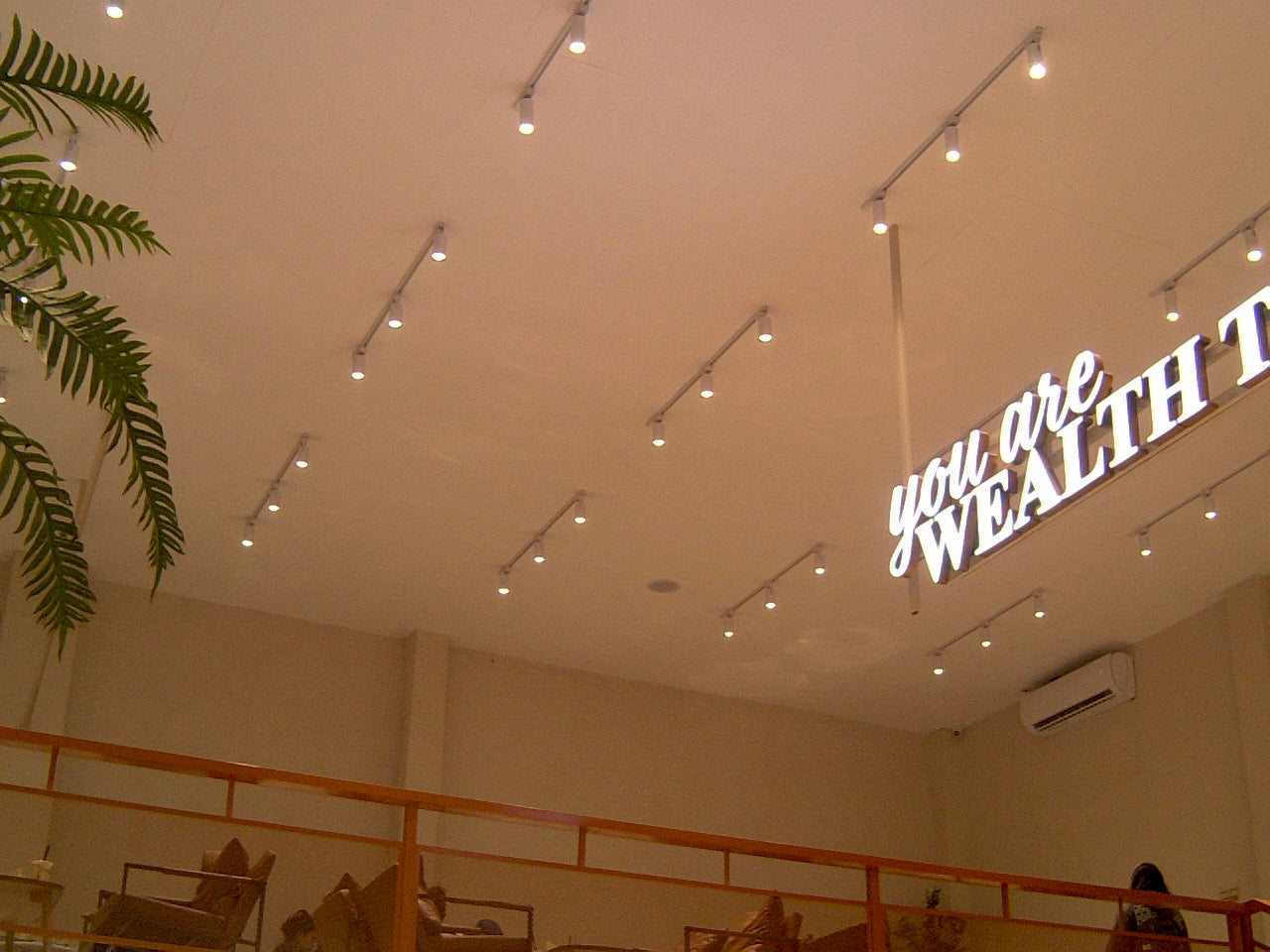 RICOH CAPLIO RR10 (SILVER) | BOXED