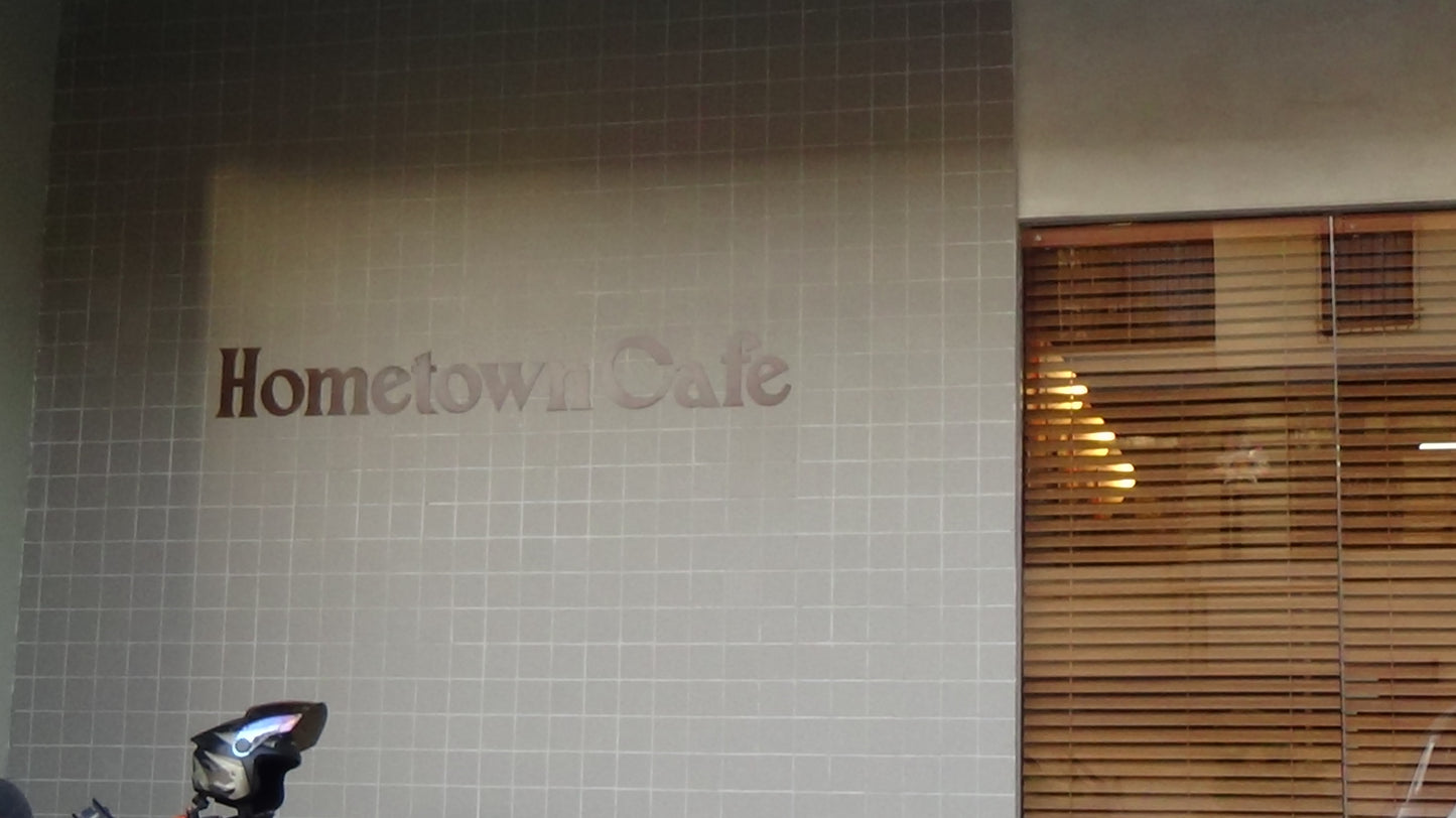 SONY HANDYCAM HDR-CX390 (BROWN)