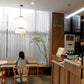 PANASONIC LUMIX DMC-TZ55 (WHITE)