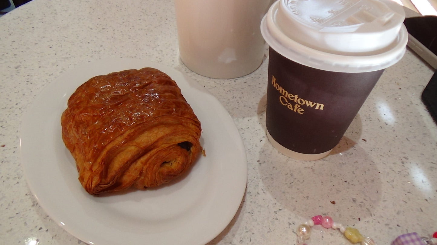 SONY HANDYCAM HDR-CX390 (BROWN)