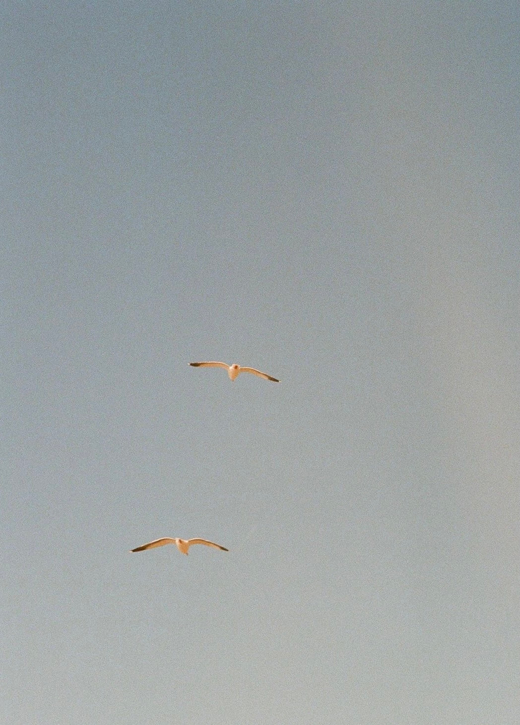 FUJIFILM ISO 400 35MM FILM