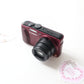 PANASONIC LUMIX DMC-TZ40 (MAROON)