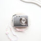 FUJIFILM FINEPIX V10 (GRAY)