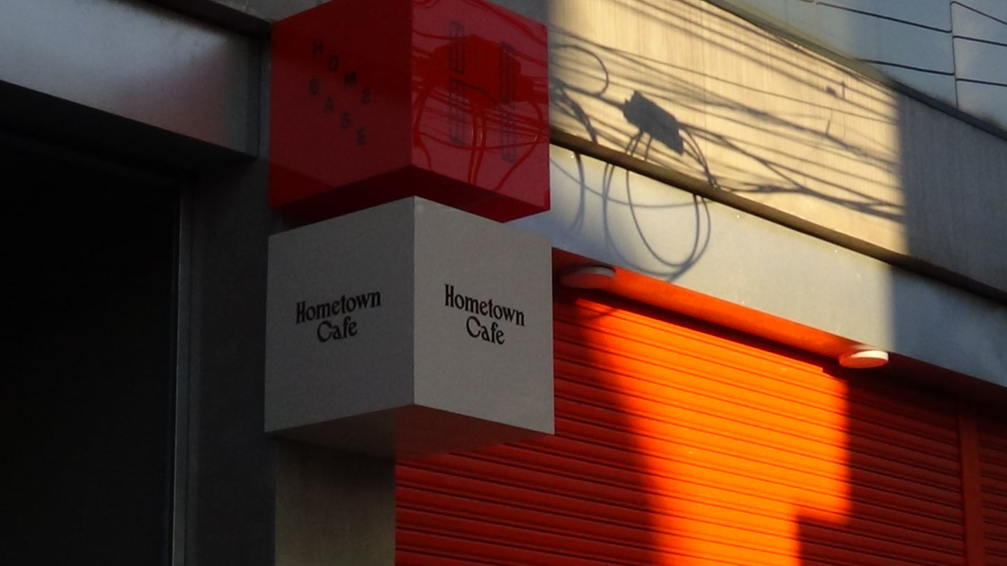 SONY HANDYCAM HDR-CX390 (BROWN)