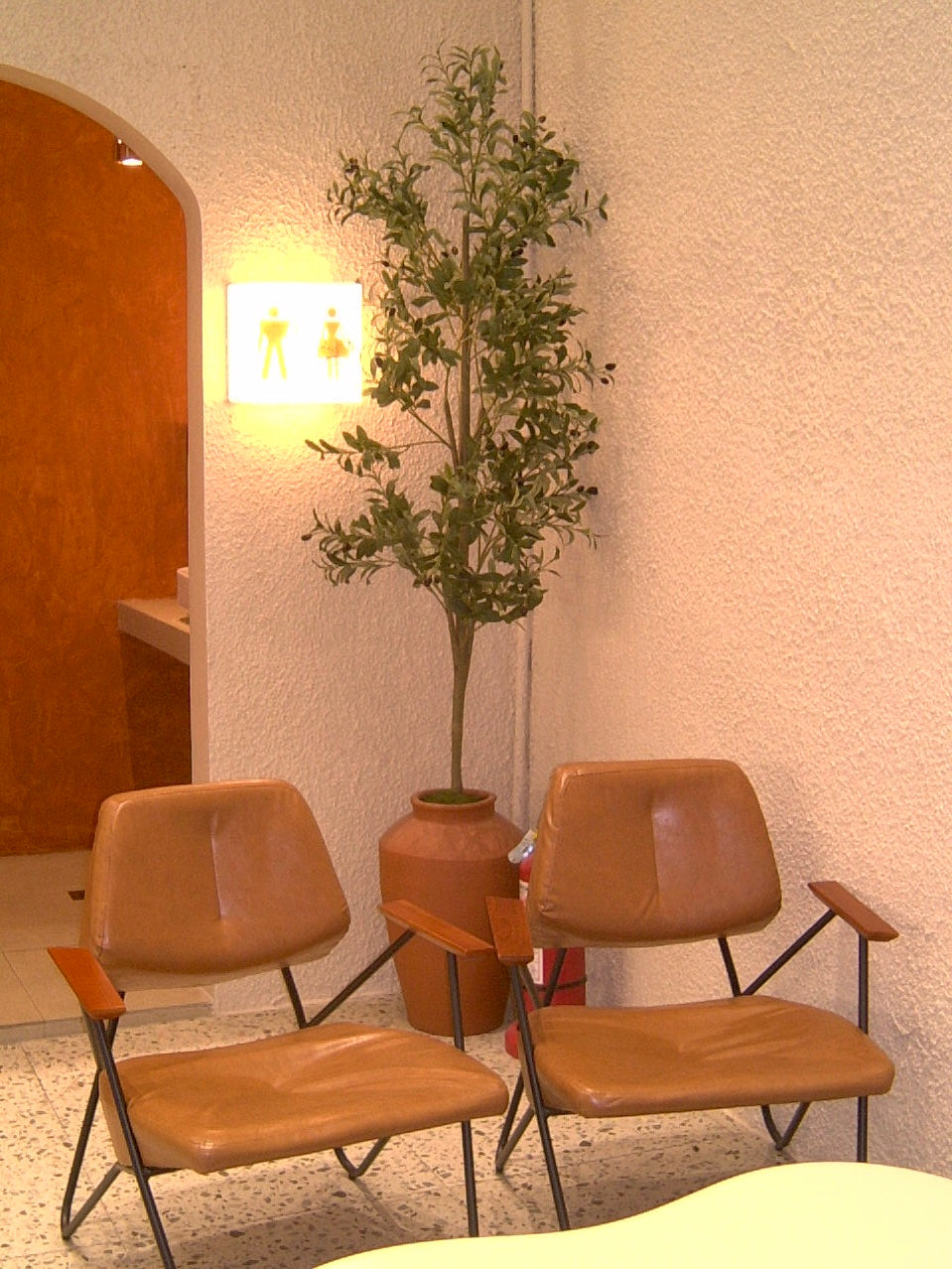 RICOH CAPLIO RR10 (SILVER) | BOXED