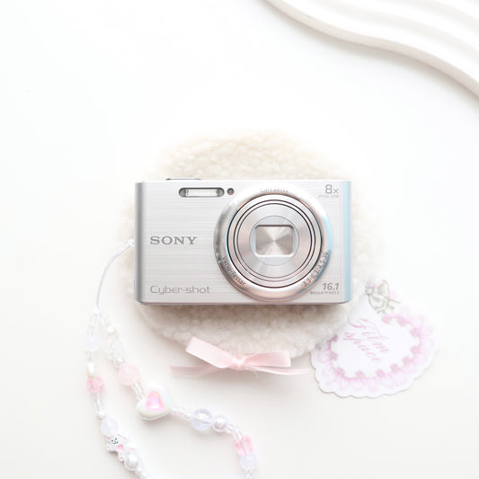 SONY CYBERSHOT W730 (SILVER)
