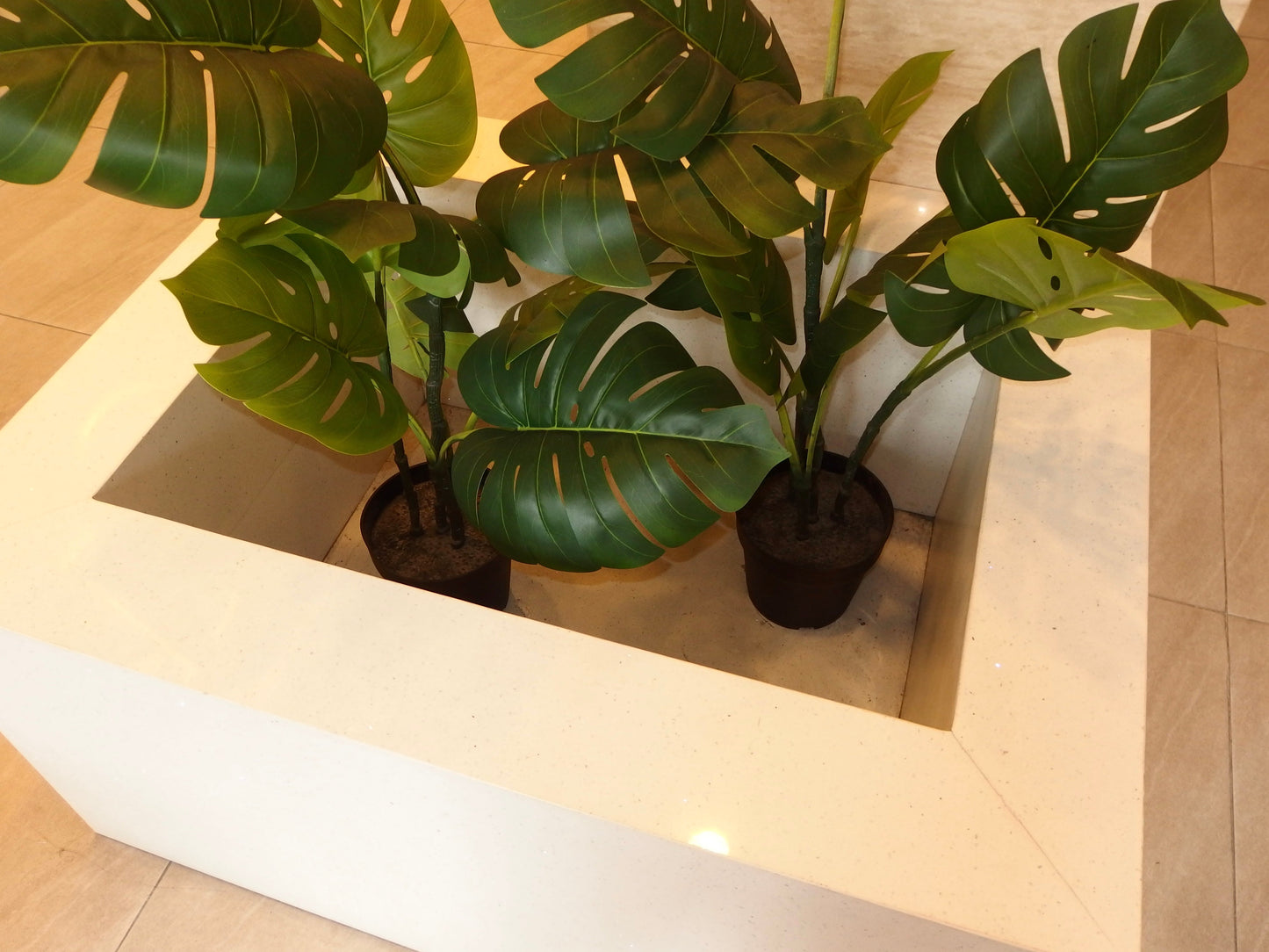 OLYMPUS STYLUS SH-60 (WHITE)