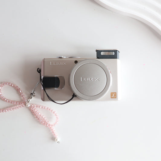 PANASONIC LUMIX DMC-LX2 (Silver)