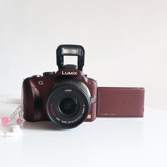 PANASONIC LUMIX G3 (Brown)