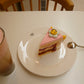 LUMIX PANASONIC DMC-FX77