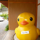 LUMIX PANASONIC DMC-FX77