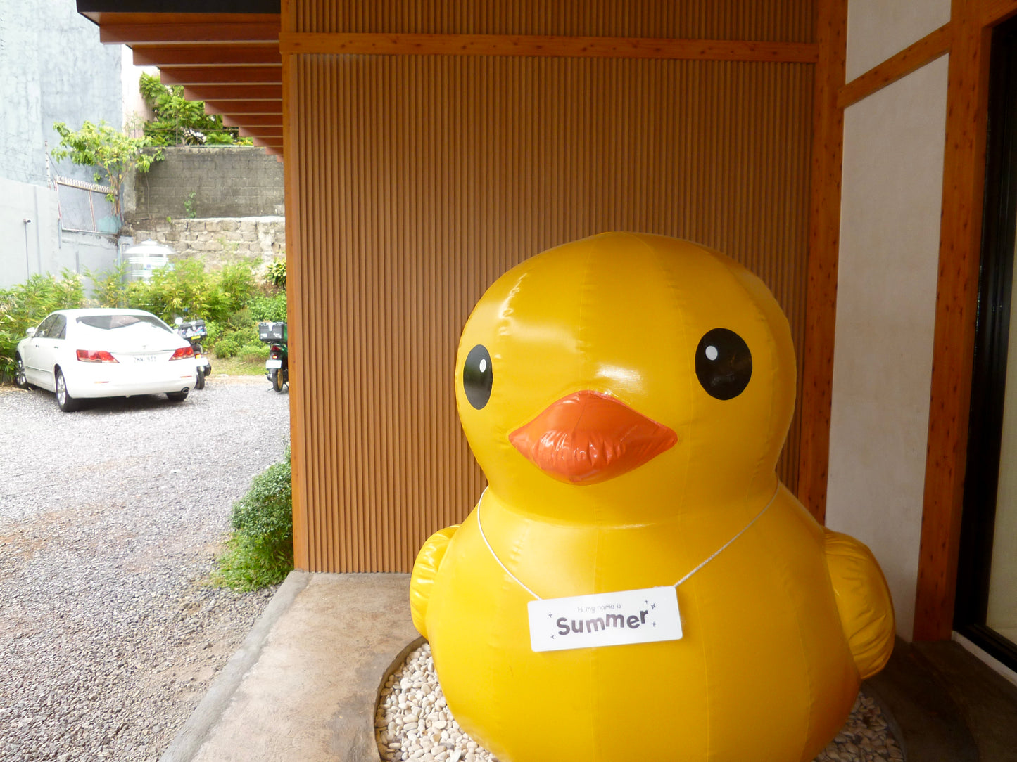 PANASONIC LUMIX DMC-FX77 (WHITE)